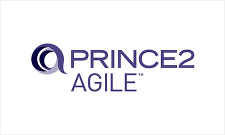 torrent managing successful projects with prince 2 agile